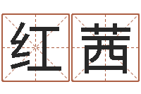 刘红茜明星英文名字-免费为公司取名