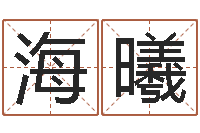 于海曦南方排八字下载-还受生钱年属羊的财运