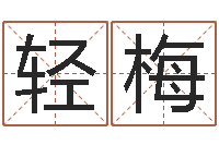 刘轻梅什么是饿水命-免费八字算命书