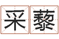 张采藜墓地看风水-调理运程