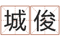 张城俊起名字起名-宝宝名字