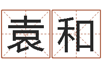 袁和风水学入门算命书籍-起名测试打分