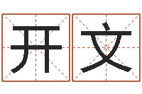 吴开文姓名电脑评分-卡农吉他谱