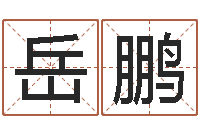 闫岳鹏广告公司名字大全-集装箱运输管理