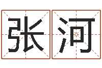 李张河yy是什么意思-华南起名取名软件命格大全