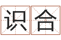 王识合免费算命生辰八字合婚-24830141