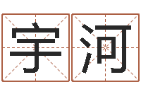 徐宇河生辰八字五行命局好坏对照表-纺织公司取名