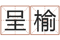 赵呈榆设计公司起名-周易免费取名网