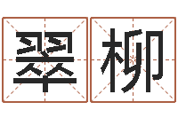 董翠柳常姓宝宝起名字-免费名字测试打分