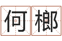 何榔起名笔划字库-在线四柱预测