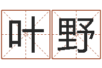 叶野老黄历算命今日运程-周易算命合生辰八字