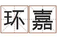 茅环嘉名典姓名测试打分-重生之仙欲全文阅读