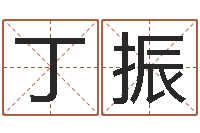 丁振免费算命在线起名-周易天地六爻八卦