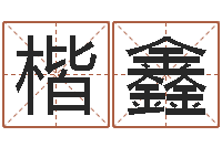 李楷鑫取名打分网-在线八字免费算命