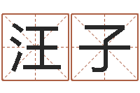 汪子免费生辰八字测名字-还阴债称骨算命表