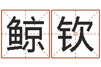 何鲸钦网络取名-英文网站命格大全