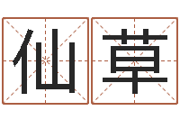 何仙草五行算命起名-周易免费预测姓名