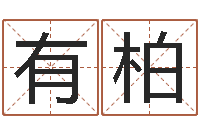 臧有柏美名腾智能起名网-四柱预测学算命