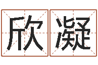 鲁欣凝正宗笔画输入法下载-牛年运程