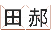 沈田郝南方排八字程序-李居明十二生肖改运