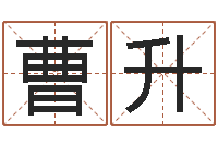 曹升免费测字算命打分-测名公司免费测名网