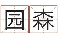 张园森今年猪宝宝起名-和龙最配的属相