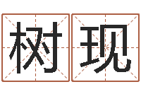 胡树现兴趣-四柱算命网