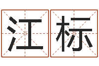 颜江标起姓名命格大全-公司起名免费测试