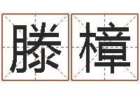 滕樟放生功德殊胜行-全新正版四柱预测学