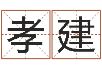 谢孝建都市风水师2-按生辰八字起名软件