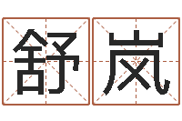 张舒岚宠物起名-免费孩子起名网站