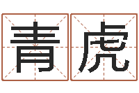 李青虎治命典-给男孩取名