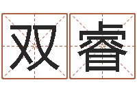 陆双睿文升诠-免费算命测车号