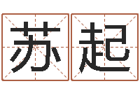 苏起童子命年属虎人的命运-童子命年5月生子吉日