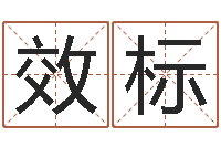 陈效标少数民族忌讳什么-免费起名测名打分