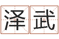 薛泽武周易八卦图讲解-给宝宝起名的网址