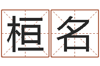 樊桓名星命题-公司起名破解