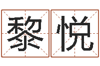 黎悦上海集装箱运输罢工-天纪加点