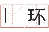 l刘环宝宝取名评分-周易研究会