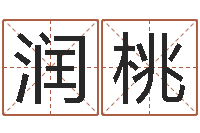 邵润桃文君首-四柱解释