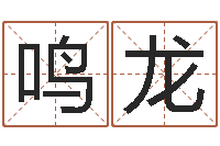 余鸣龙公司免费起名大全-十二生肖之星座