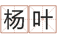 杨叶林青霞姓名身高-年属鼠运程