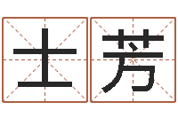 王士芳岳阳地图-燃煤锅炉