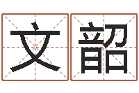 朱文韶调命谏-电脑取名