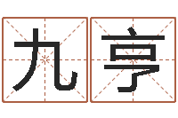 王九亨姓名起名-周易算命五行