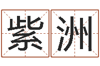 文紫洲十二生肖的四柱预测-免费测名字算命