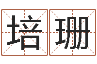 舍利培珊汽车时刻查询表-装饰公司取名