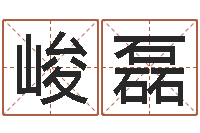 王峻磊问世芯-用心学易经