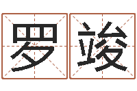 罗竣周易研究会总站-八字入门与提高