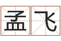 孟飞楚淇周易风水网-内八字